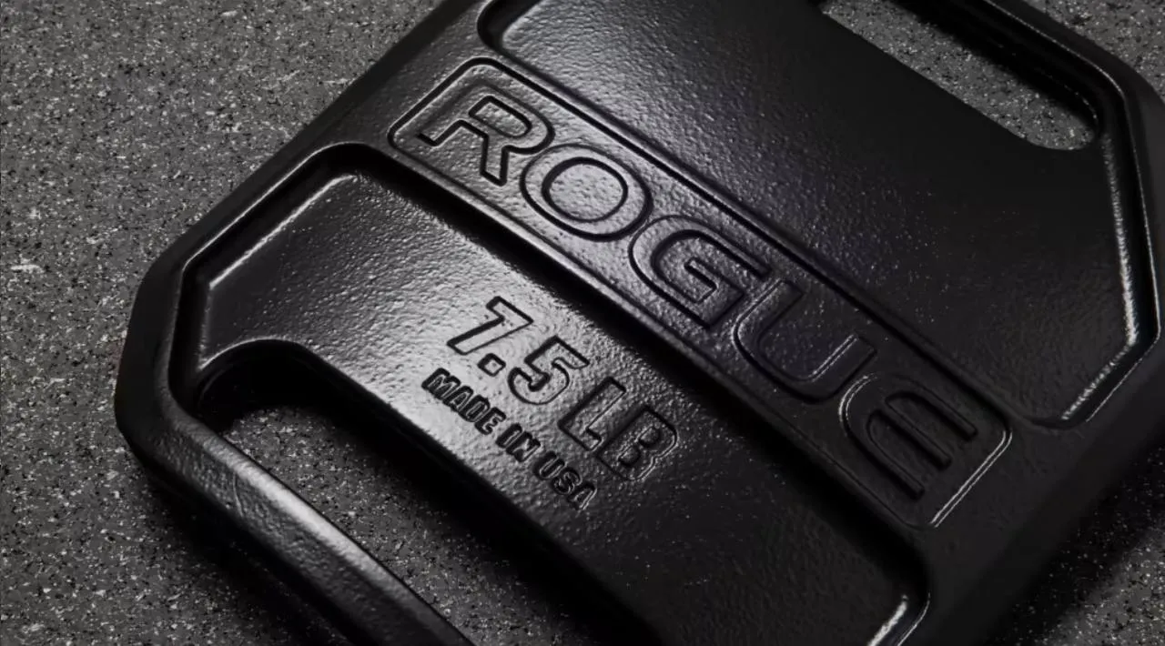 Rogue USA Cast Weight Vest Plates - Placas para chaleco