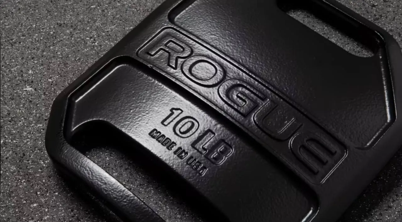 Rogue USA Cast Weight Vest Plates - Placas para chaleco