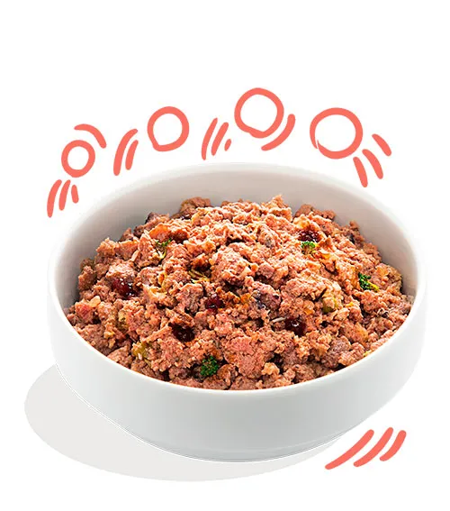 Senior Pollo y Salmón 400